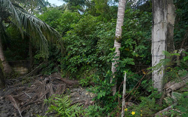 Baclayon’s ancient uplifted marine terraces in Bohol geoparks bid list