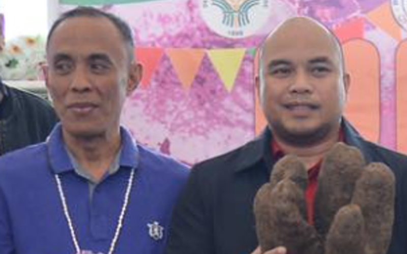 Guv, Vice-Guv support Bohol Ube industry