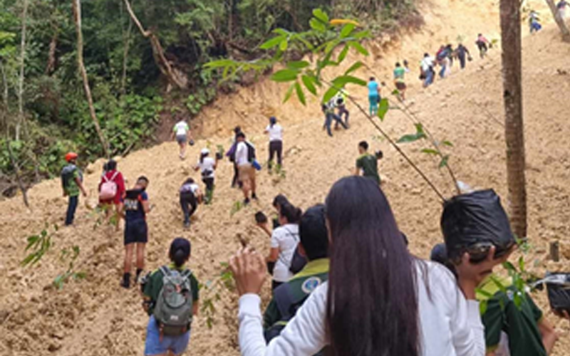 Bamboo planting launched in G-Hernandez