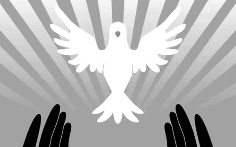 The pursuit of truth in contentious issues