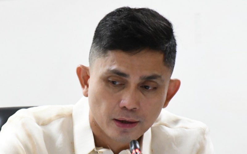 Halt, probe Mt. Banat-i dev’t projects – VM Jala