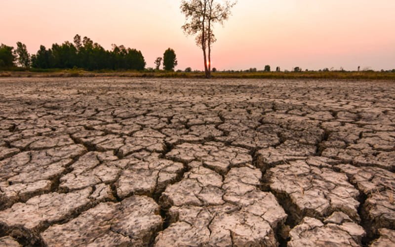 Kadaot sa agrikultura sa Bohol tungod sa El Niño: ₱62.77-M DAMAGES