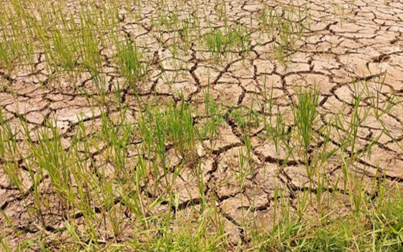 Dugay nga kainit ug uga nga panahon hangtod 2027 – EL NIÑO ALERT!